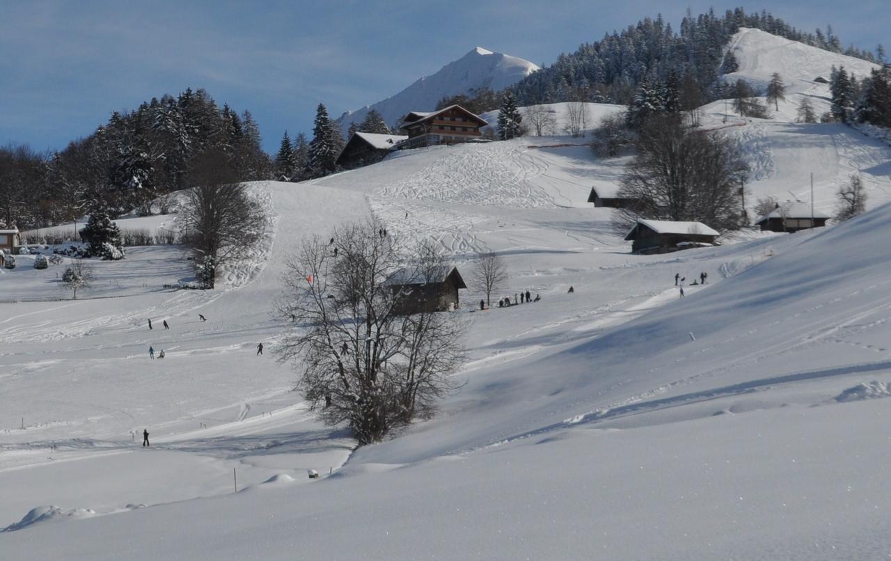 Brunnenmatte Hotel Aeschi Bei Spiez Esterno foto