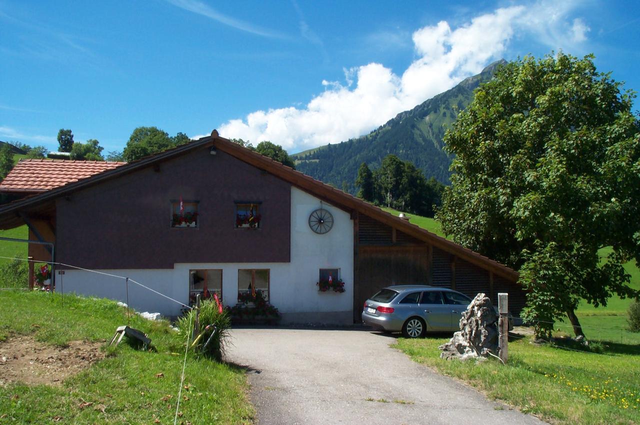 Brunnenmatte Hotel Aeschi Bei Spiez Esterno foto