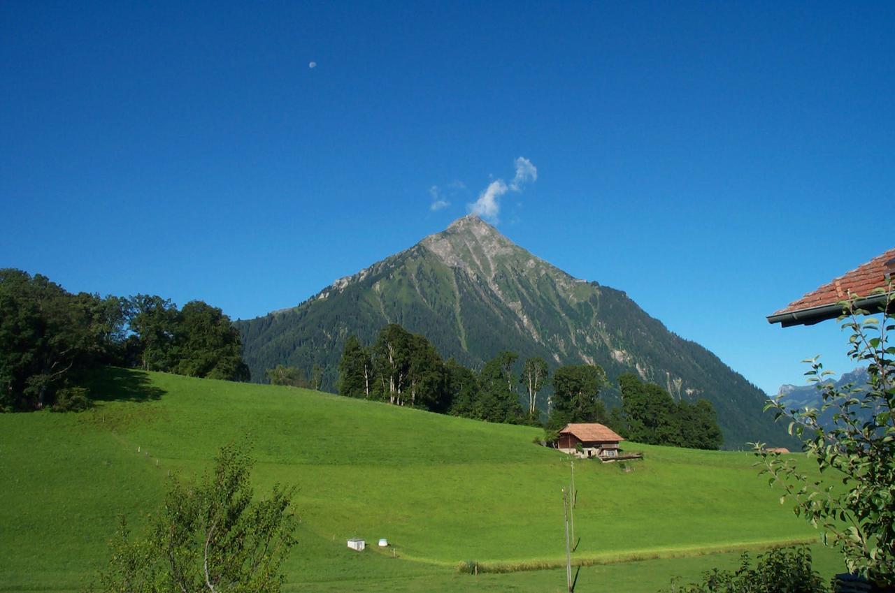 Brunnenmatte Hotel Aeschi Bei Spiez Esterno foto