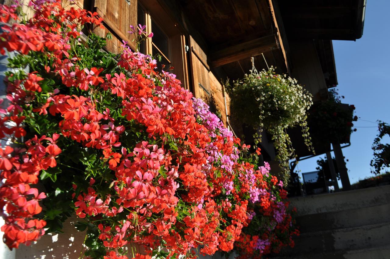 Brunnenmatte Hotel Aeschi Bei Spiez Esterno foto